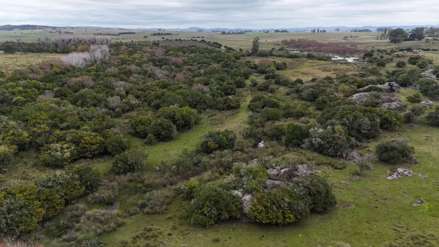 Campo en venta de 14 ha con casa en Aigua, Maldonado Uruguay. — foto 6