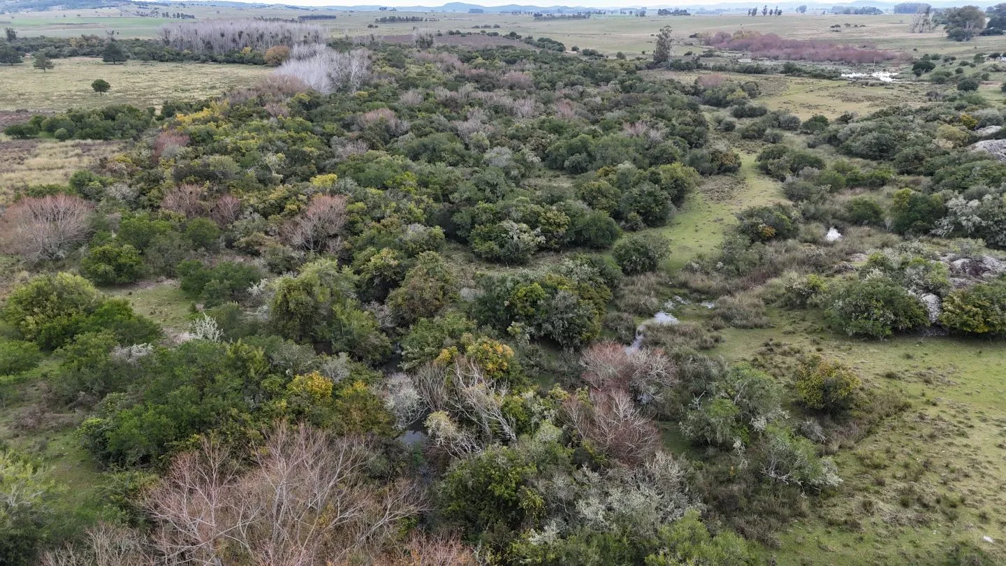 Campo en venta de 14 ha con casa en Aigua, Maldonado Uruguay. — foto 7