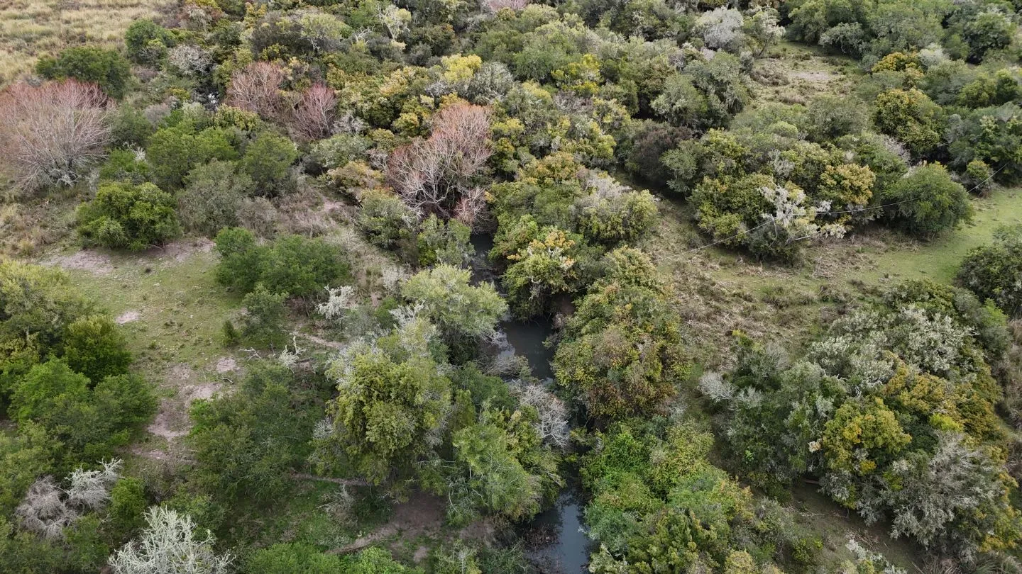Campo en venta de 14 ha con casa en Aigua, Maldonado Uruguay. — foto 8