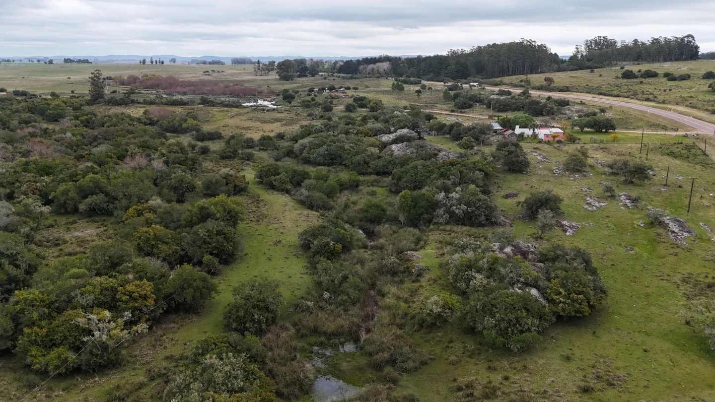 Campo en venta de 14 ha con casa en Aigua, Maldonado Uruguay. — foto 9
