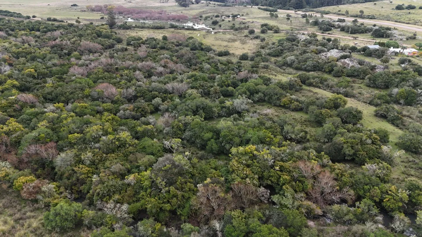 Campo en venta de 14 ha con casa en Aigua, Maldonado Uruguay. — foto 10