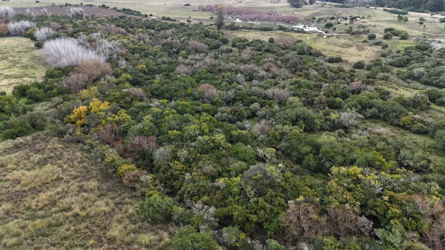 Campo en venta de 14 ha con casa en Aigua, Maldonado Uruguay. — foto 11