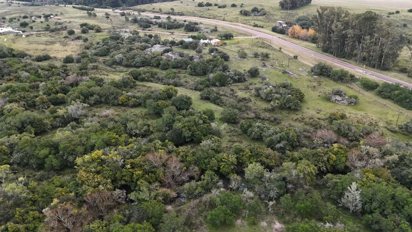 Campo en venta de 14 ha con casa en Aigua, Maldonado Uruguay. — foto 12