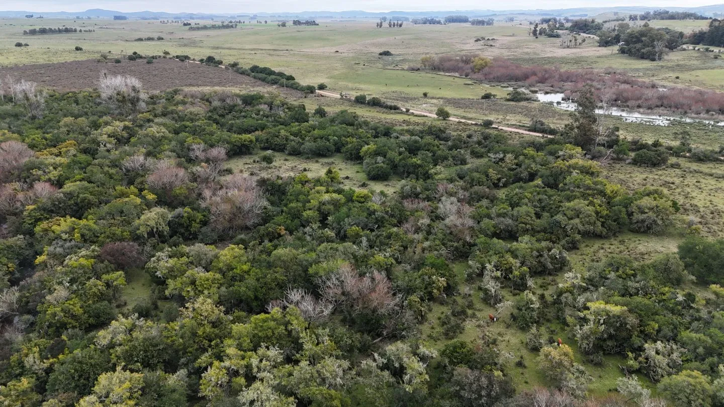 Campo en venta de 14 ha con casa en Aigua, Maldonado Uruguay. — foto 13