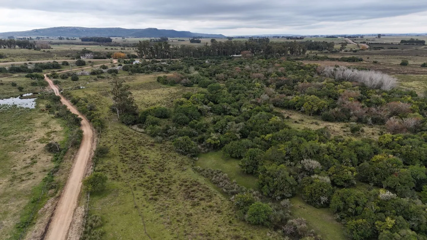 Campo en venta de 14 ha con casa en Aigua, Maldonado Uruguay. — foto 14