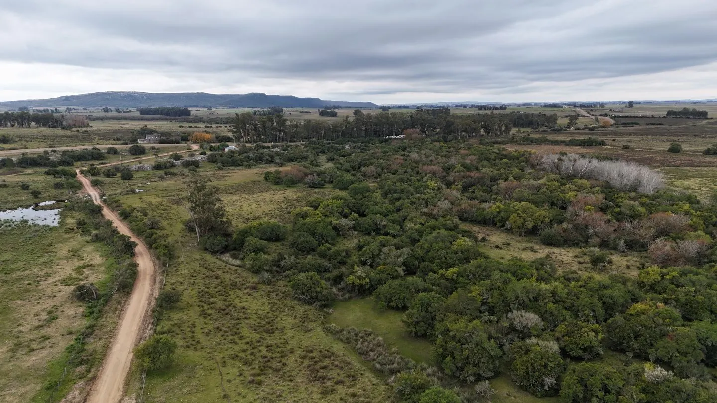 Campo en venta de 14 ha con casa en Aigua, Maldonado Uruguay. — foto 15