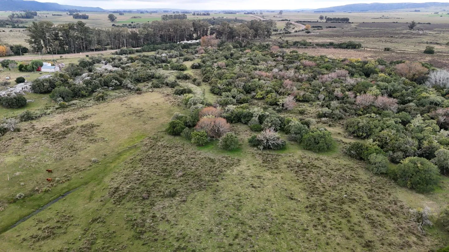 Campo en venta de 14 ha con casa en Aigua, Maldonado Uruguay. — foto 16