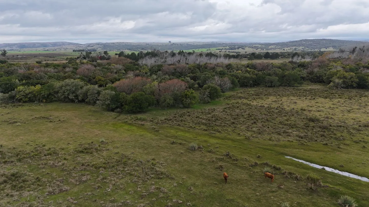 Campo en venta de 14 ha con casa en Aigua, Maldonado Uruguay. — foto 18