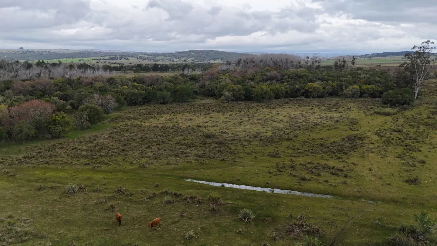 Campo en venta de 14 ha con casa en Aigua, Maldonado Uruguay. — foto 19