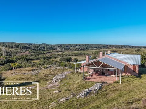 Campo de 78ha con arroyo y casa principal