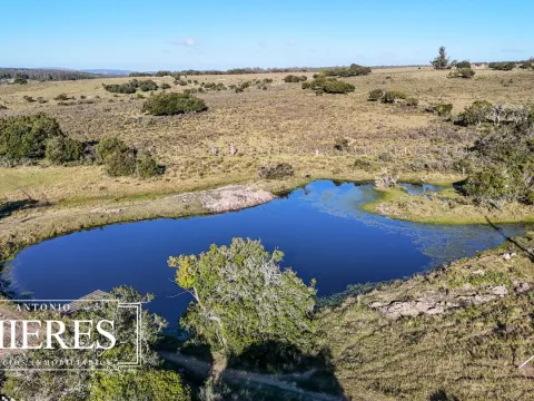 Campo de 78ha con arroyo y casa principal — foto 3