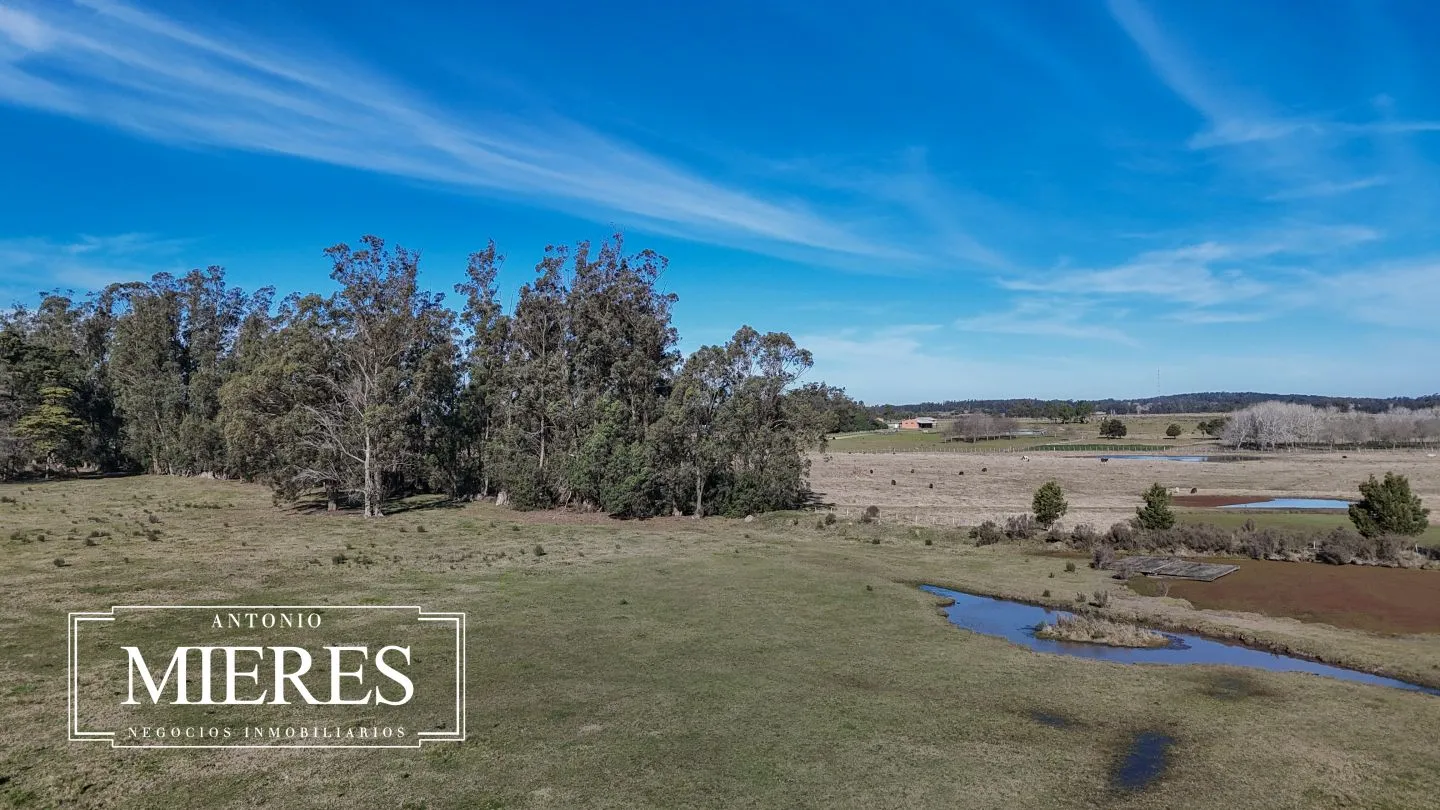 Chacra de 5 ha en venta Lapataia, Maldonado Uruguay. — foto 3