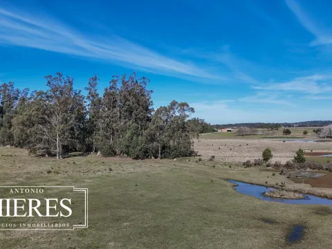 Chacra de 5 ha en venta Lapataia, Maldonado Uruguay. — foto 3
