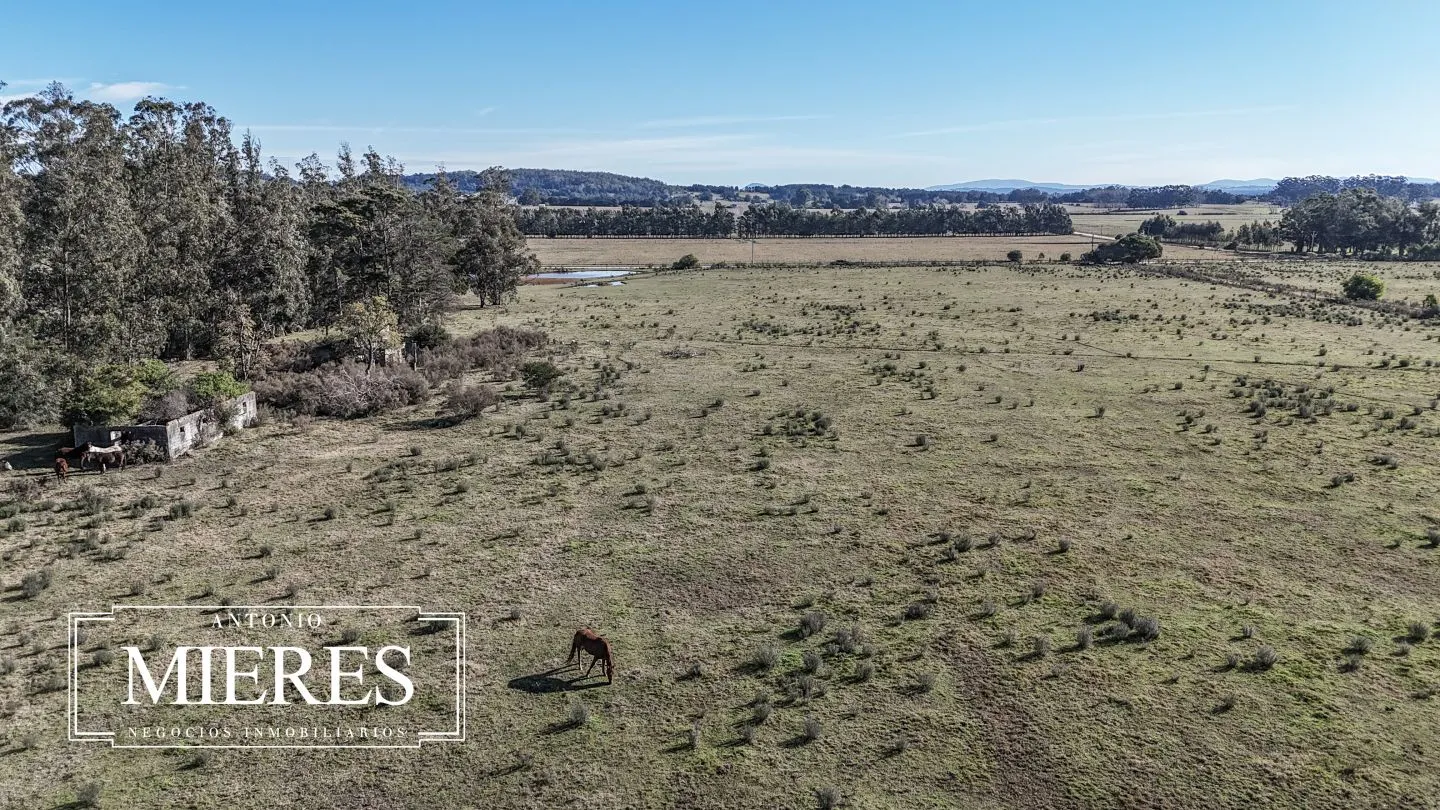 Chacra de 5 ha en venta Lapataia, Maldonado Uruguay. — foto 10
