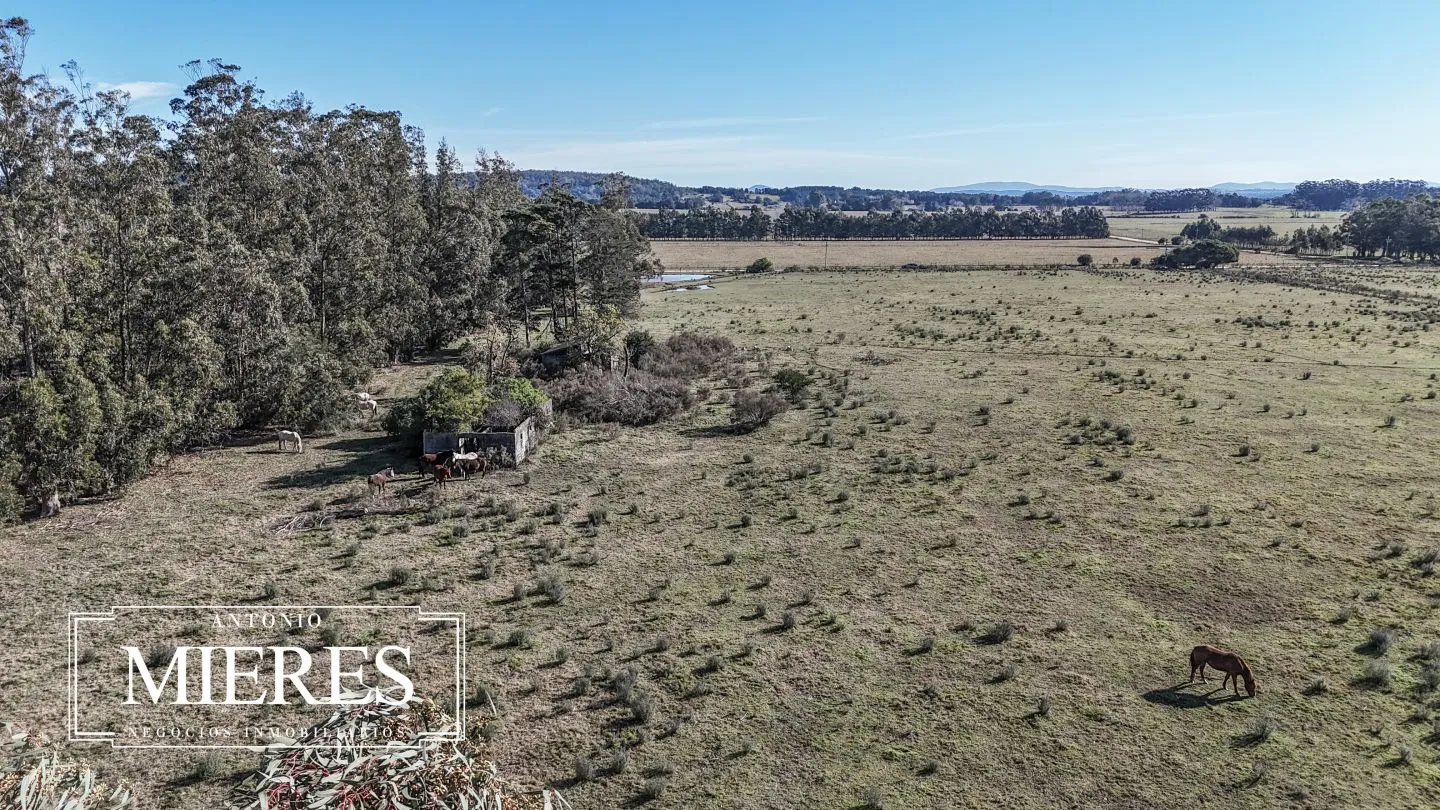 Chacra de 5 ha en venta Lapataia, Maldonado Uruguay. — foto 11