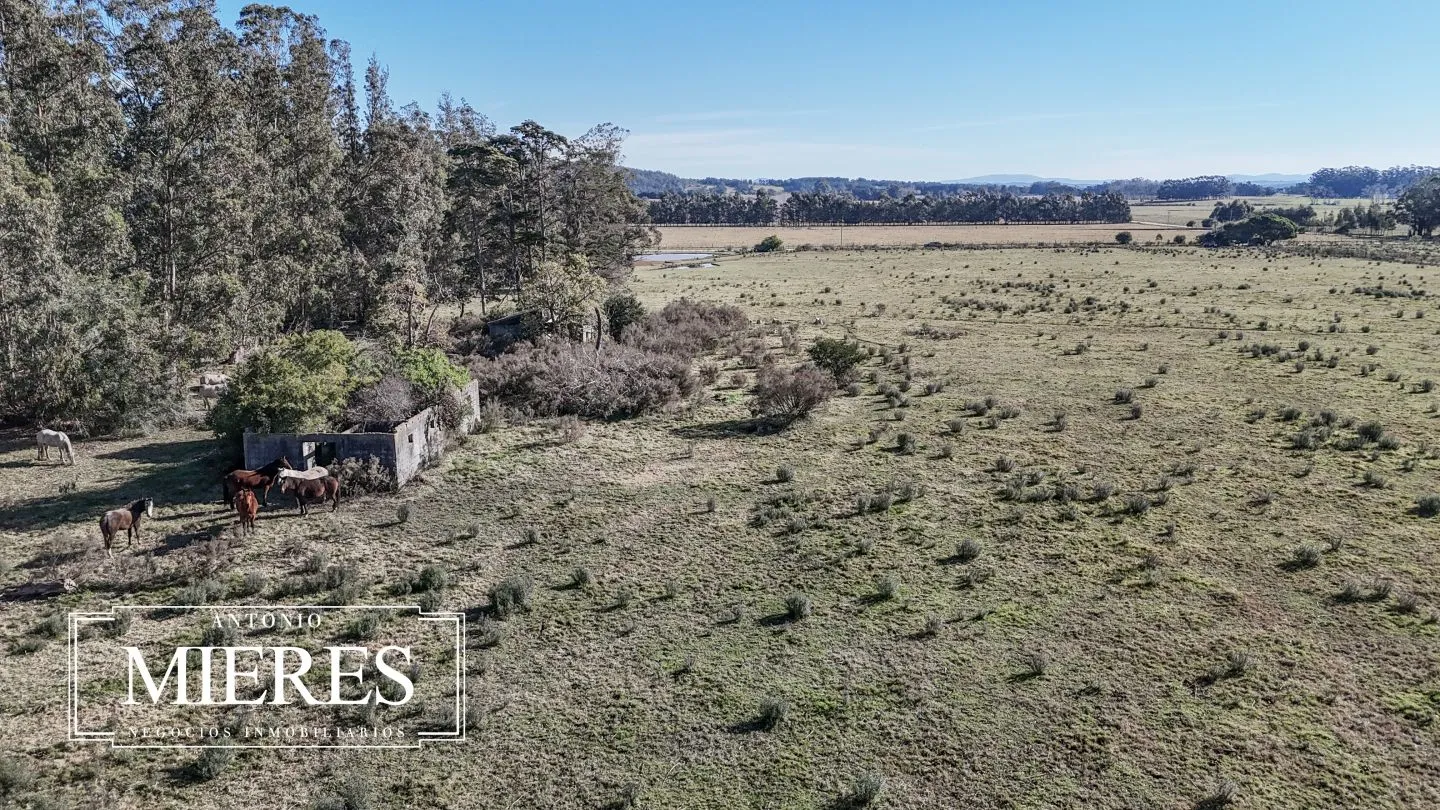 Chacra de 5 ha en venta Lapataia, Maldonado Uruguay. — foto 12