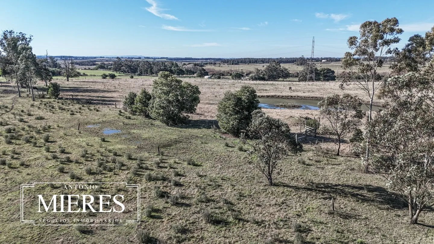 Chacra de 5 ha en venta Lapataia, Maldonado Uruguay. — foto 15