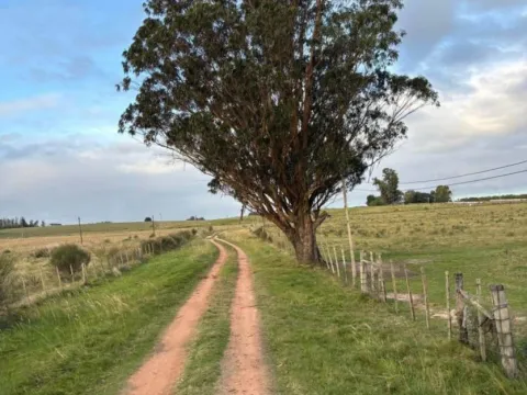 Chacra / Campo 5 ha en José Ignacio