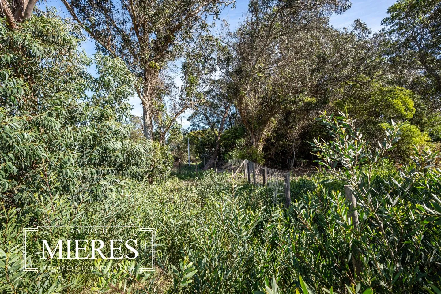 Venta 2 lotes (total 585m2) en Sta Monica, frente a laguna — foto 12