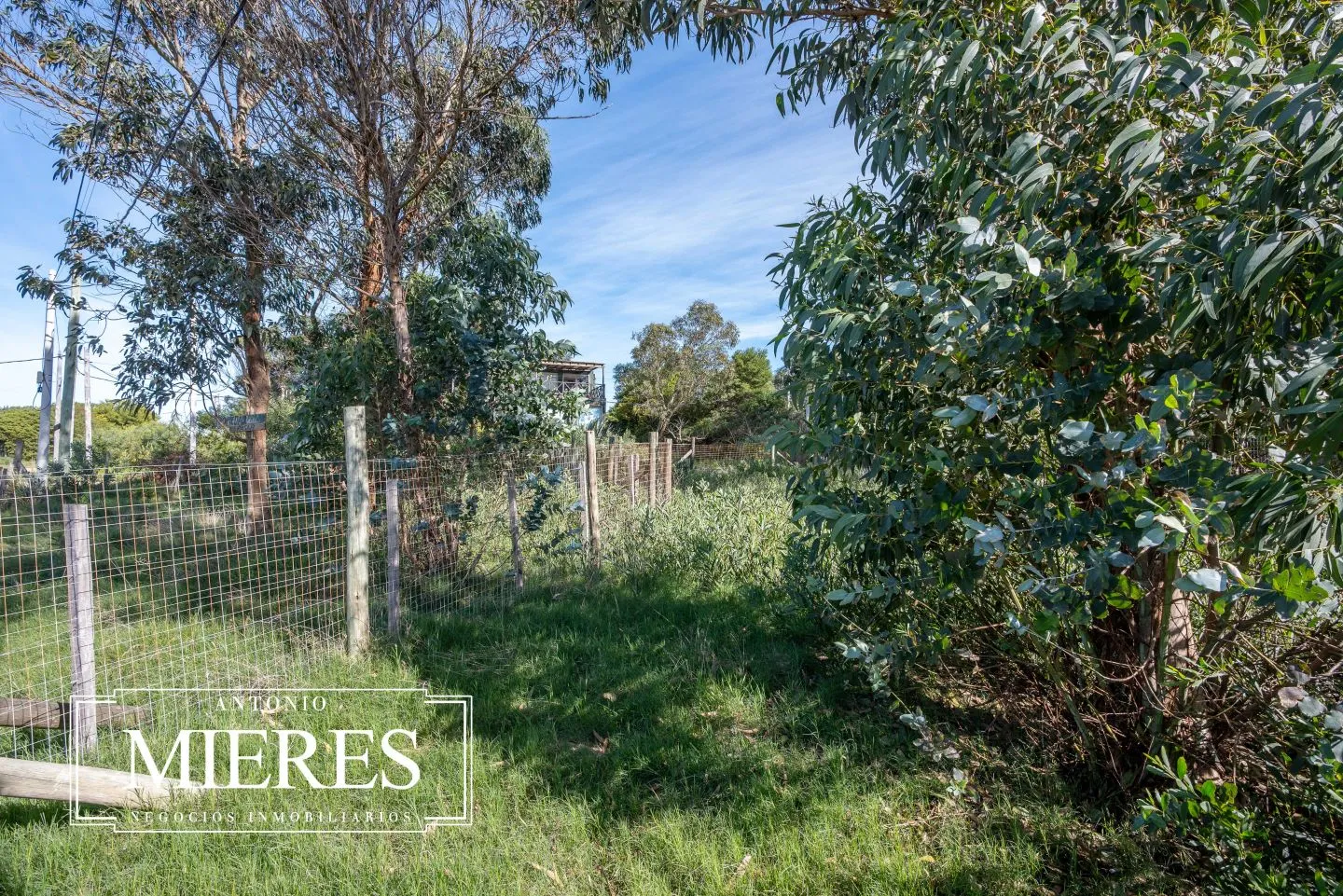Venta 2 lotes (total 585m2) en Sta Monica, frente a laguna — foto 14