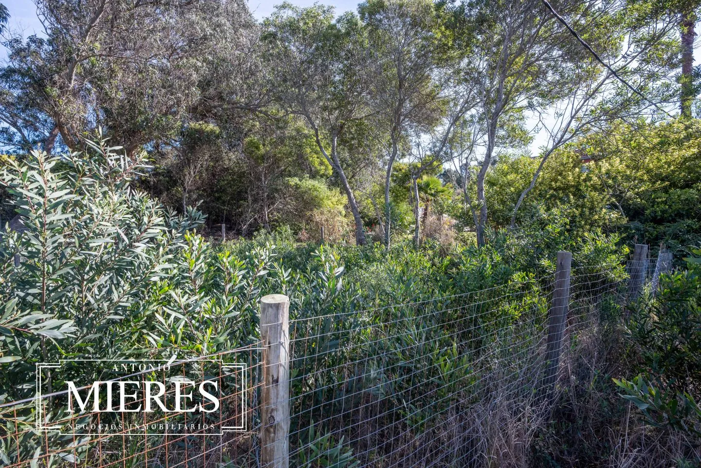 Venta 2 lotes (total 585m2) en Sta Monica, frente a laguna — foto 15