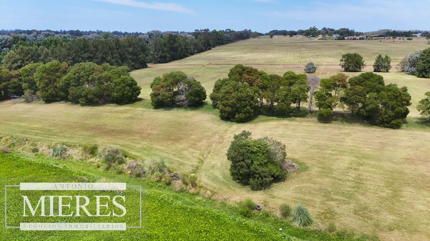 Venta lote-  Barrio Laguna de los Cisnes — foto 21