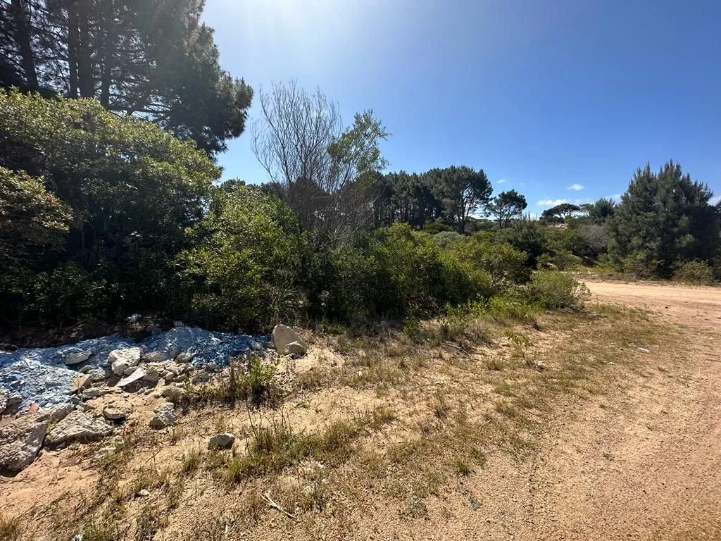 Venta lote en Chihuahua- Punta Ballena — foto 4