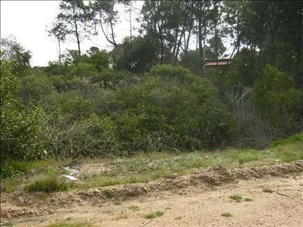 Venta lote en Chihuahua- Punta Ballena — foto 6