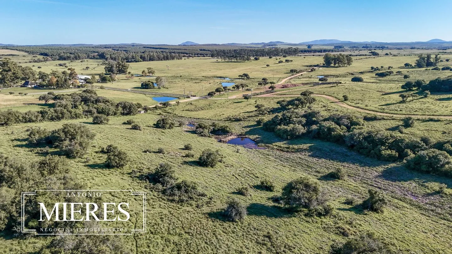 Chacra en venta de 3 ha en Pueblo Edén, Maldonado. — foto 21