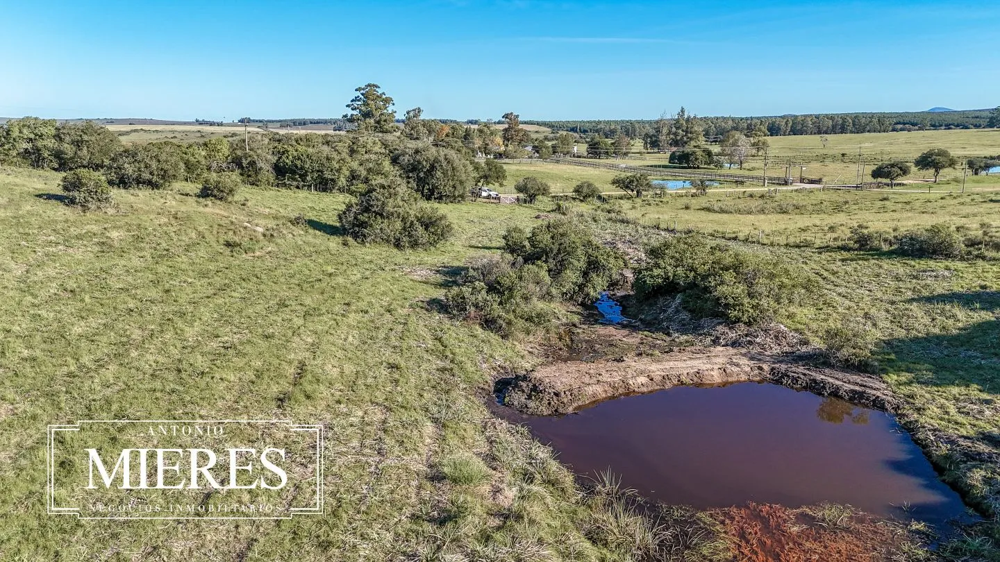 Chacra en venta de 3 ha en Pueblo Edén, Maldonado. — foto 22