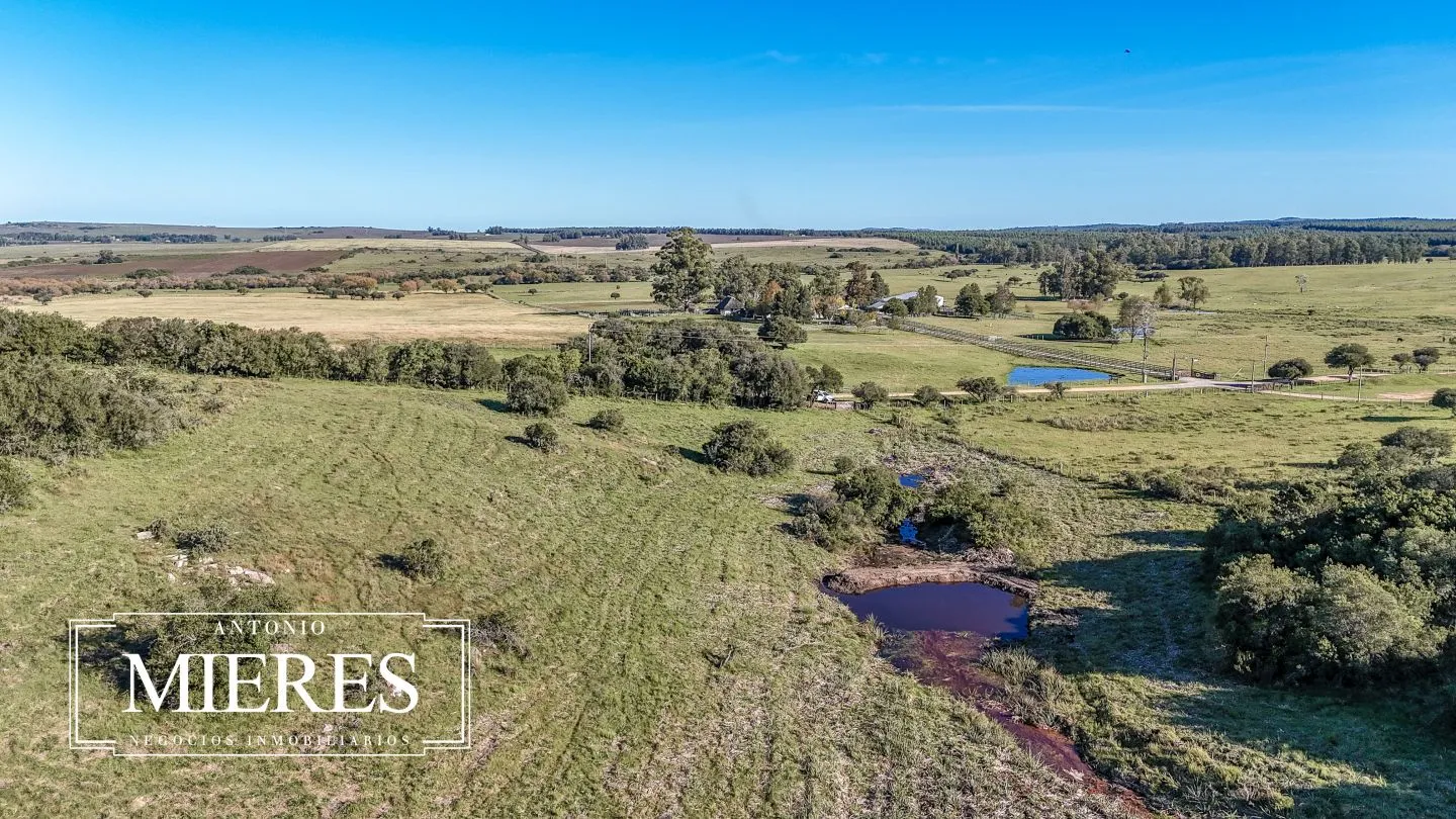 Chacra en venta de 3 ha en Pueblo Edén, Maldonado. — foto 23