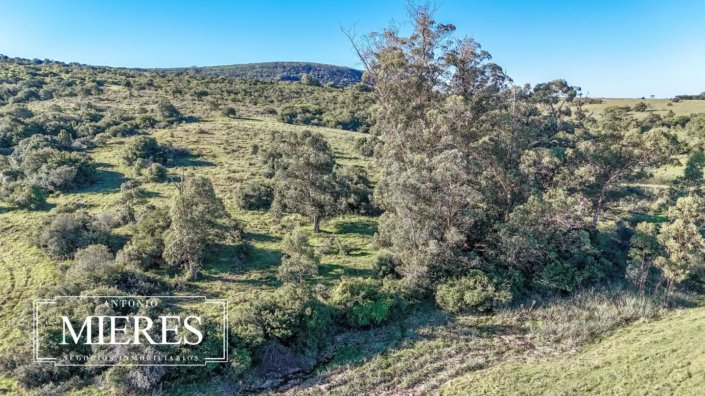 Chacra en venta de 3 ha en Pueblo Edén, Maldonado. — foto 24