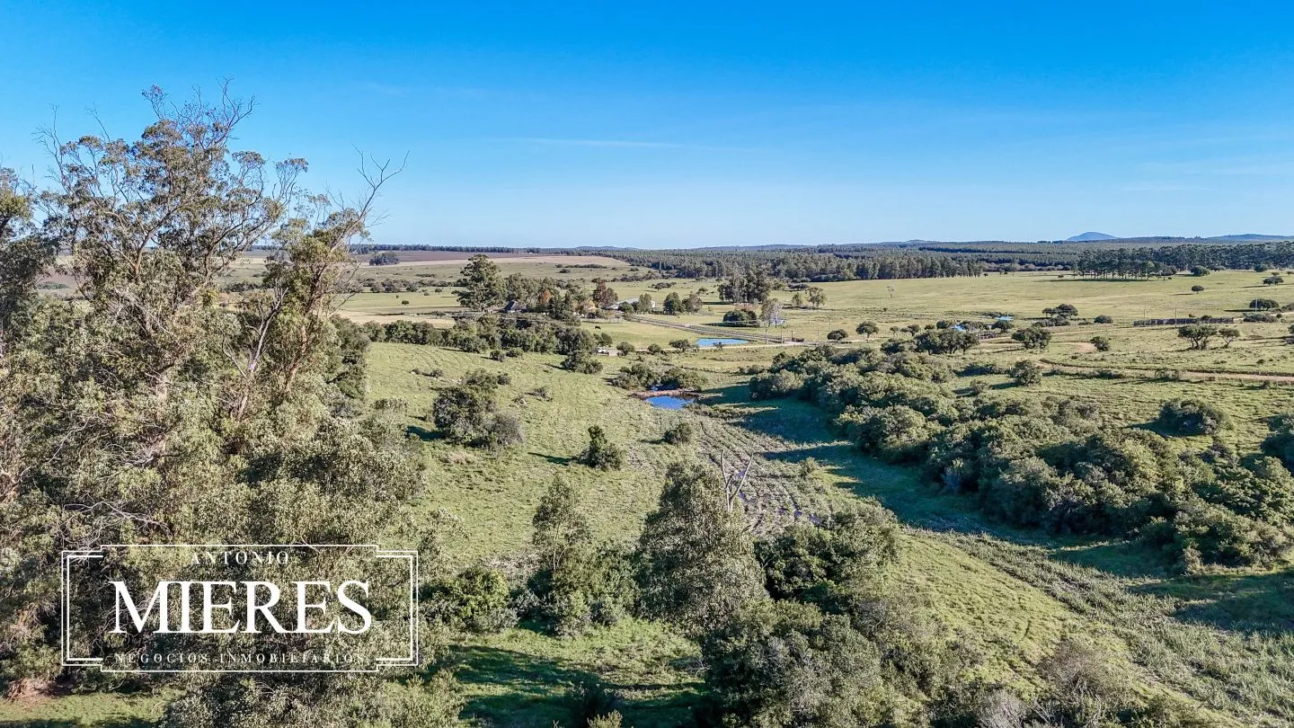 Chacra en venta de 3 ha en Pueblo Edén, Maldonado. — foto 30