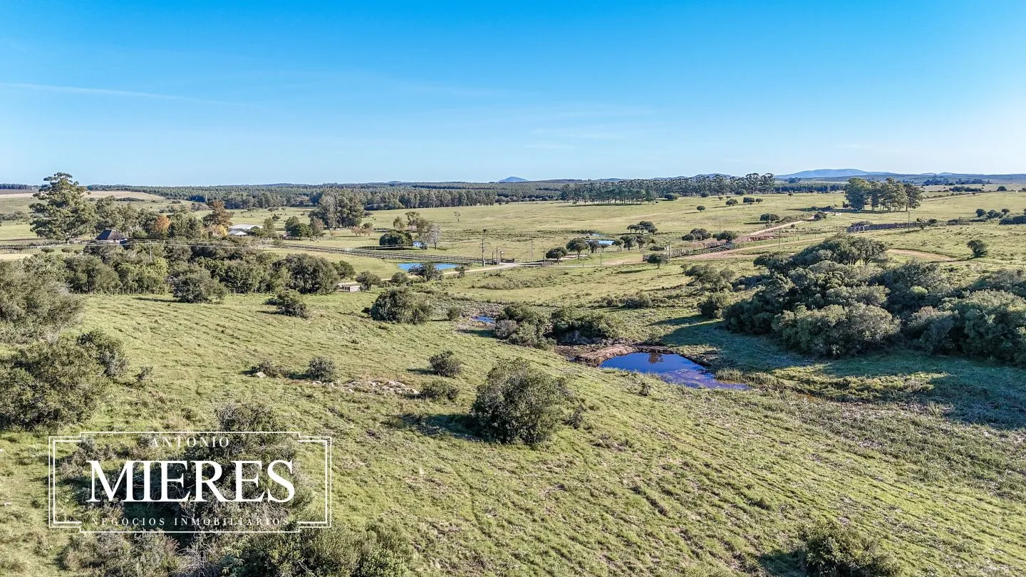 Chacra en venta de 3 ha en Pueblo Edén, Maldonado. — foto 31