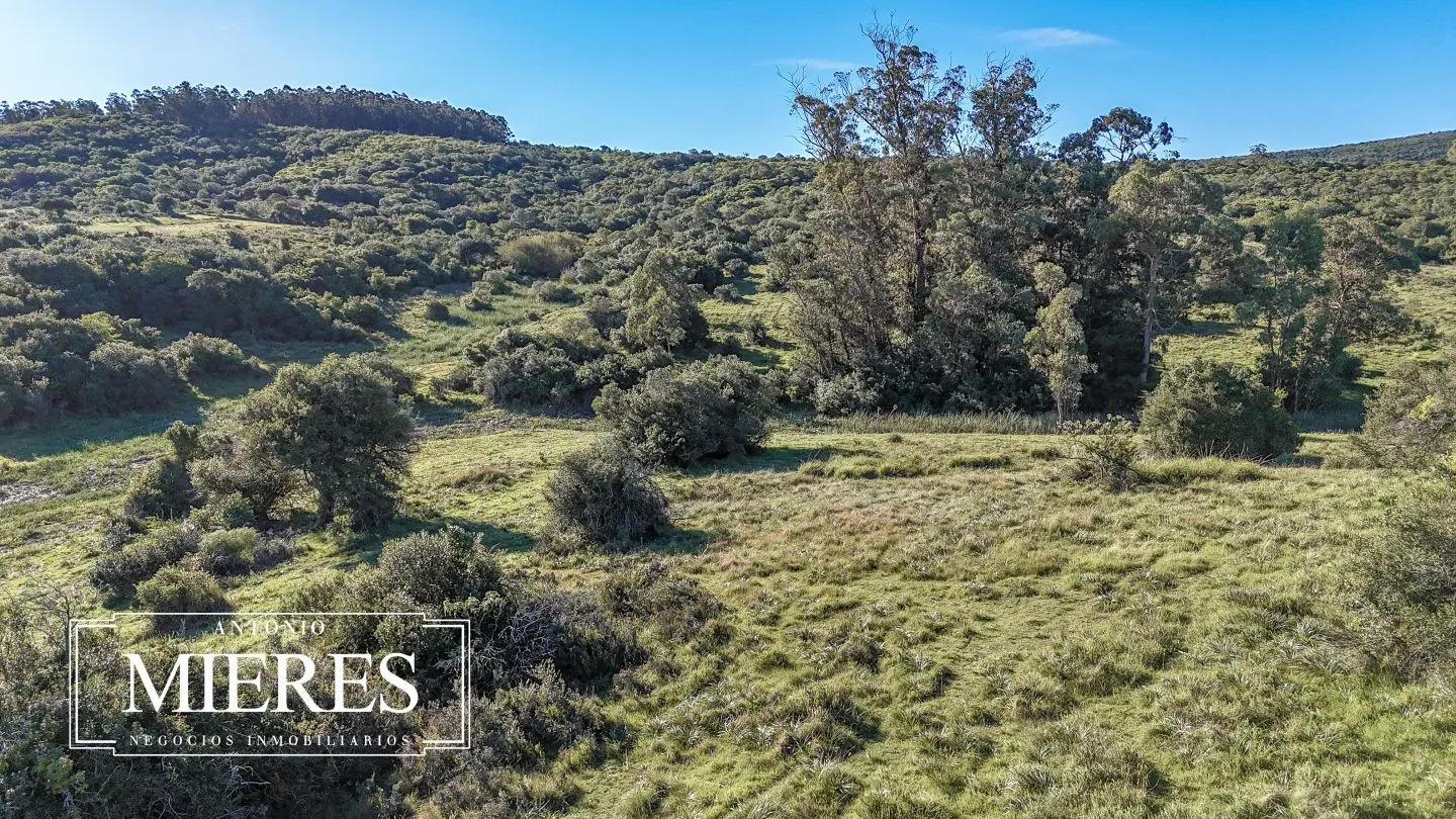 Chacra en venta de 3 ha en Pueblo Edén, Maldonado. — foto 34