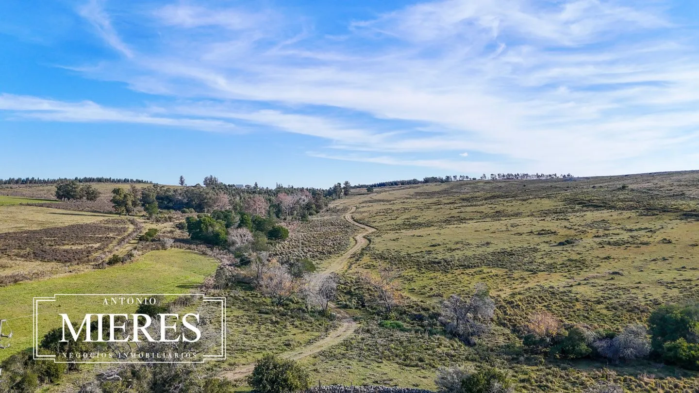 Campo de 36 ha en venta con casa y arroyo, Maldonado Uruguay. — foto 31