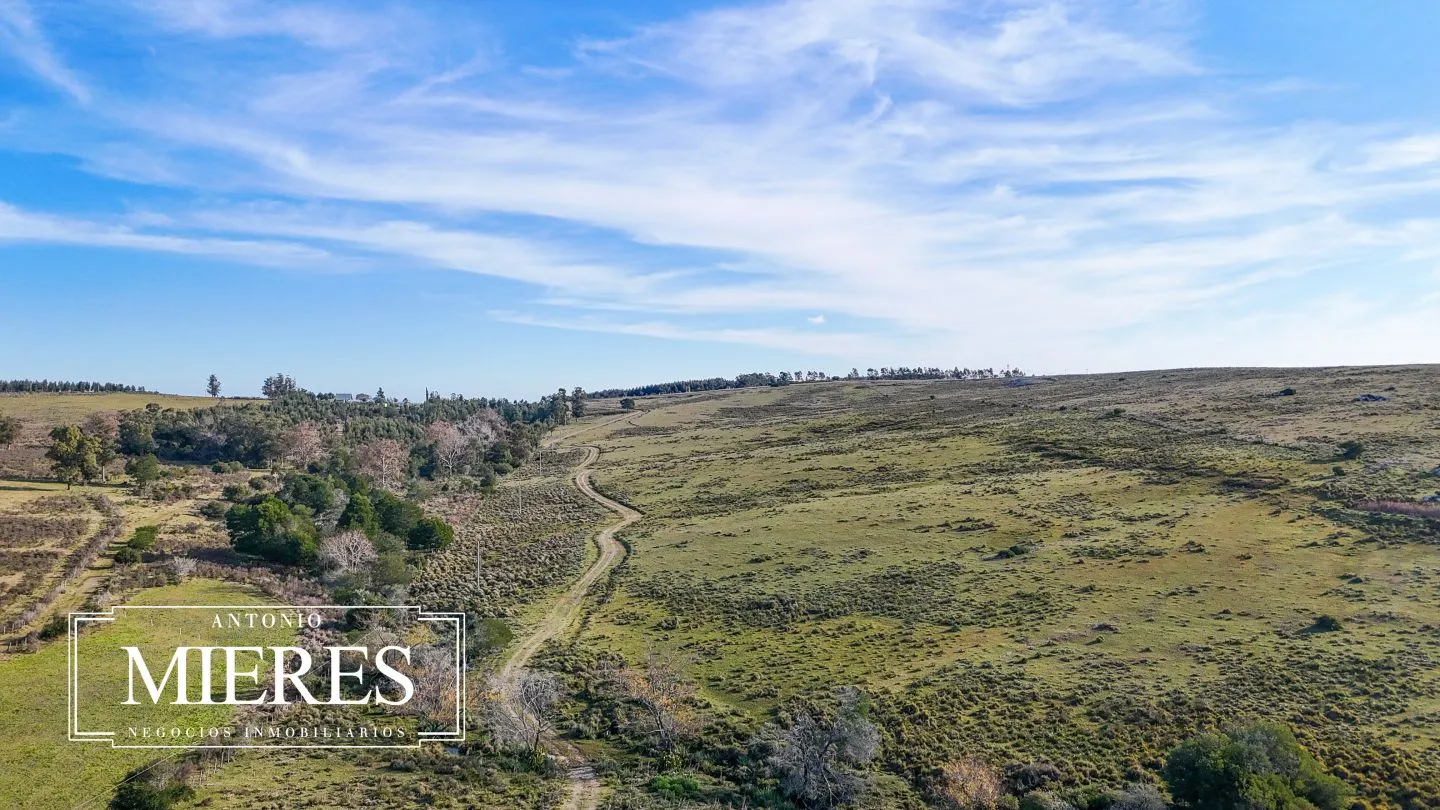 Campo de 36 ha en venta con casa y arroyo, Maldonado Uruguay. — foto 32