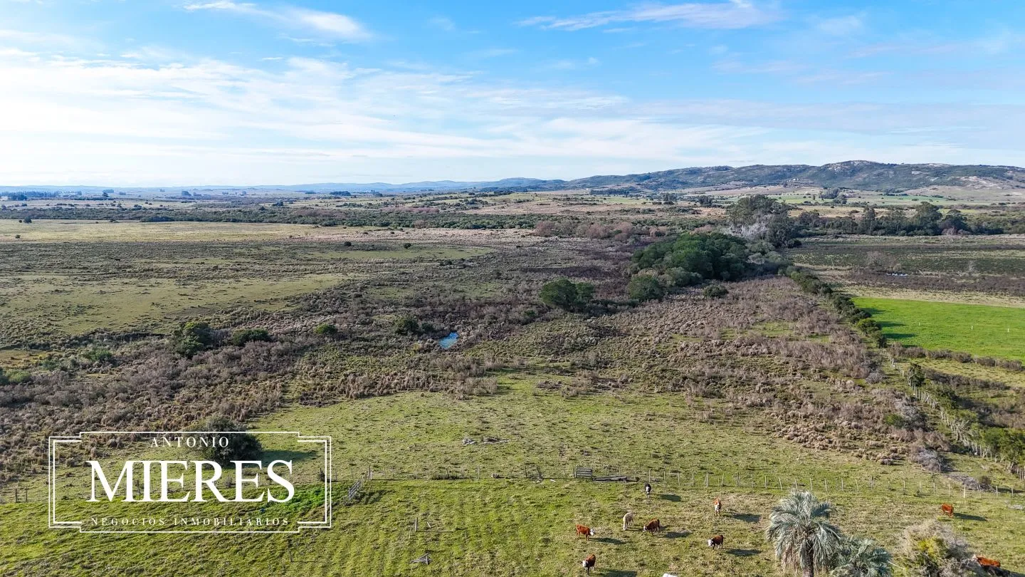 Campo de 36 ha en venta con casa y arroyo, Maldonado Uruguay. — foto 33