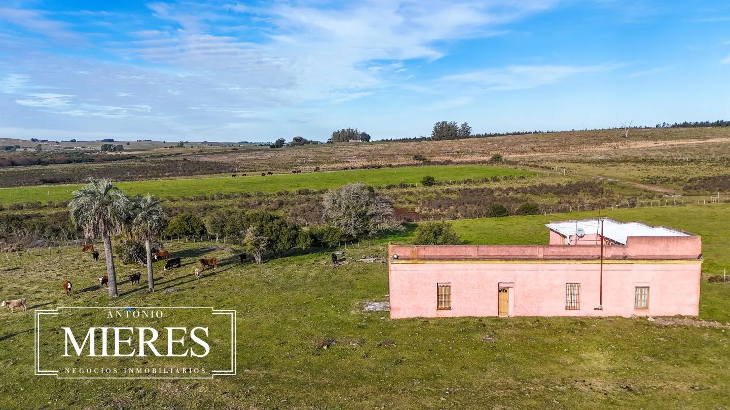 Campo de 36 ha en venta con casa y arroyo, Maldonado Uruguay. — foto 34