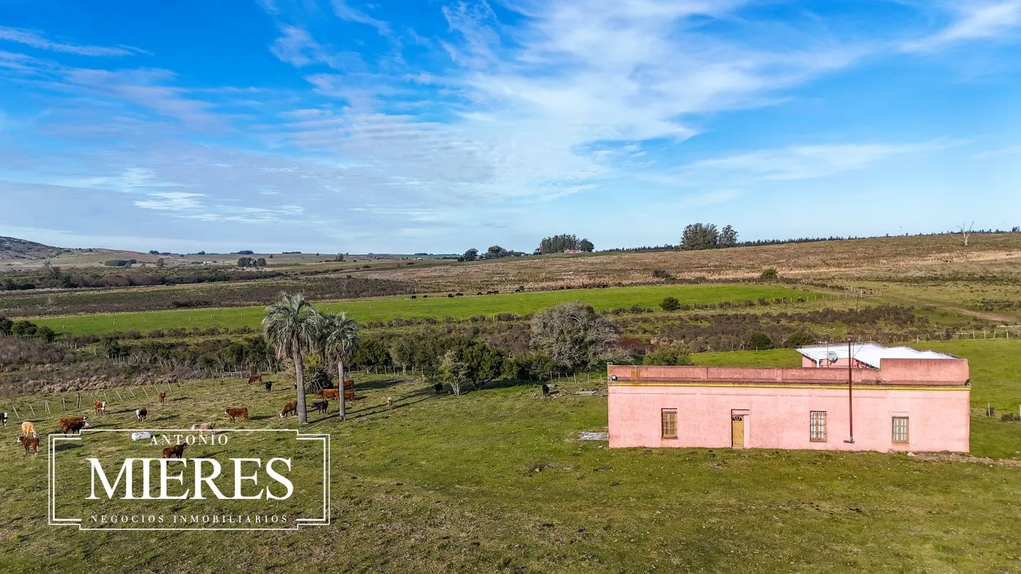 Campo de 36 ha en venta con casa y arroyo, Maldonado Uruguay. — foto 35