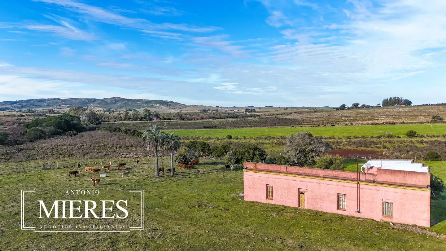 Campo de 36 ha en venta con casa y arroyo, Maldonado Uruguay. — foto 36