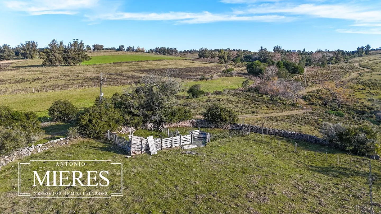 Campo de 36 ha en venta con casa y arroyo, Maldonado Uruguay. — foto 37