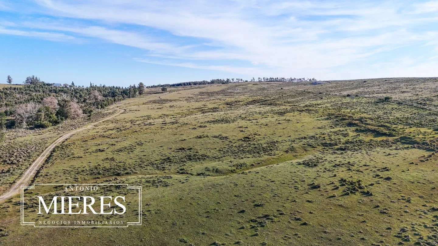Campo de 36 ha en venta con casa y arroyo, Maldonado Uruguay. — foto 38