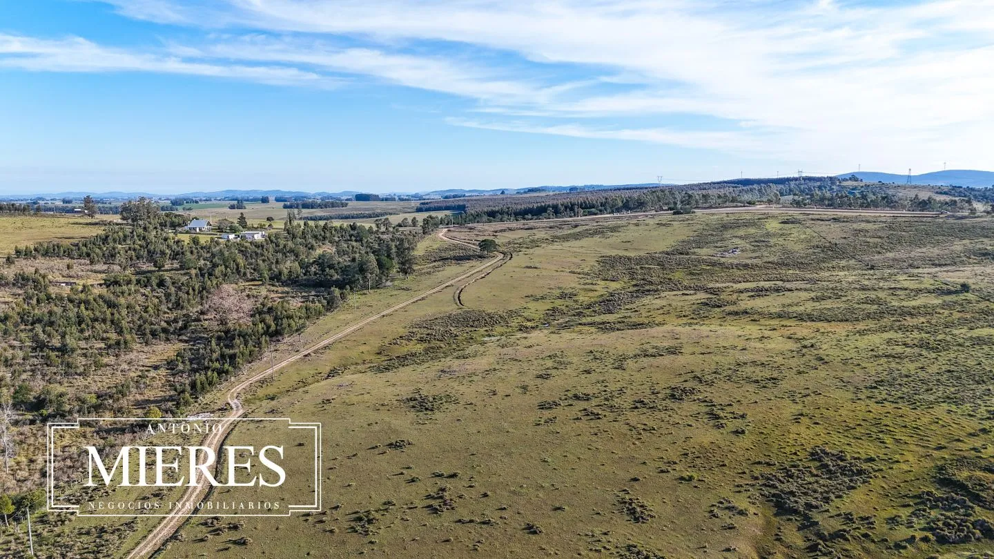 Campo de 36 ha en venta con casa y arroyo, Maldonado Uruguay. — foto 40