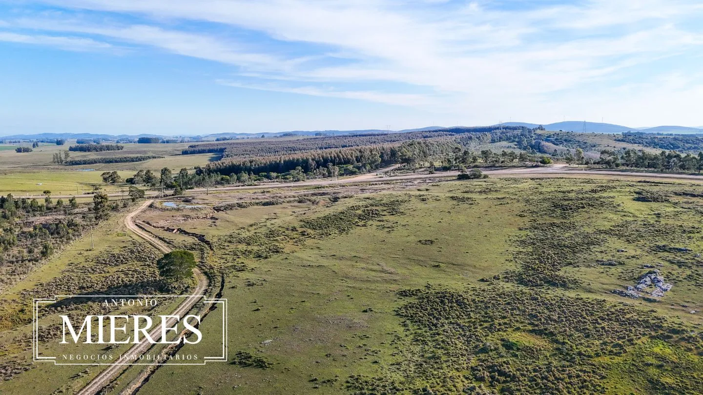 Campo de 36 ha en venta con casa y arroyo, Maldonado Uruguay. — foto 41
