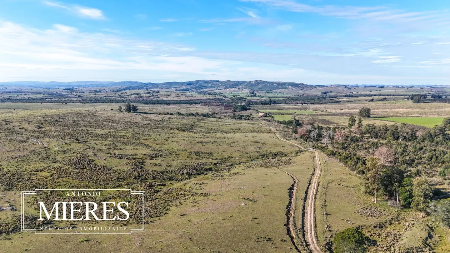 Campo de 36 ha en venta con casa y arroyo, Maldonado Uruguay. — foto 42