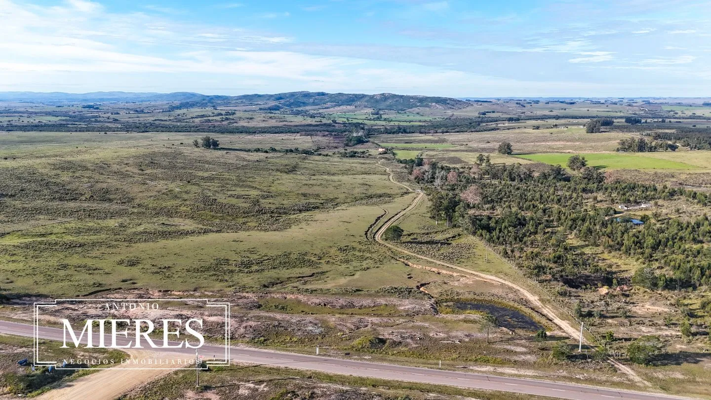 Campo de 36 ha en venta con casa y arroyo, Maldonado Uruguay. — foto 43
