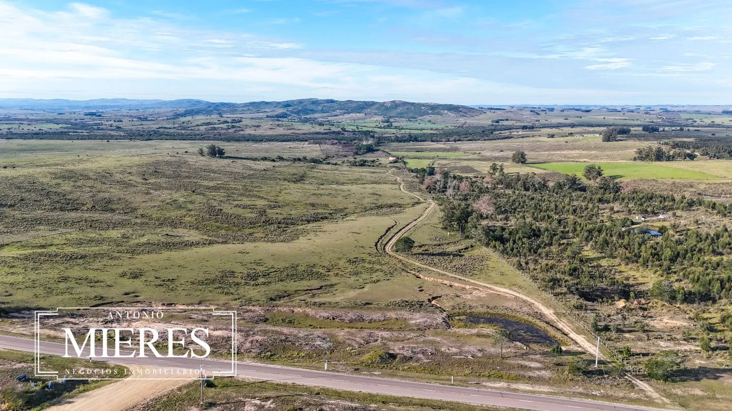 Campo de 36 ha en venta con casa y arroyo, Maldonado Uruguay. — foto 44