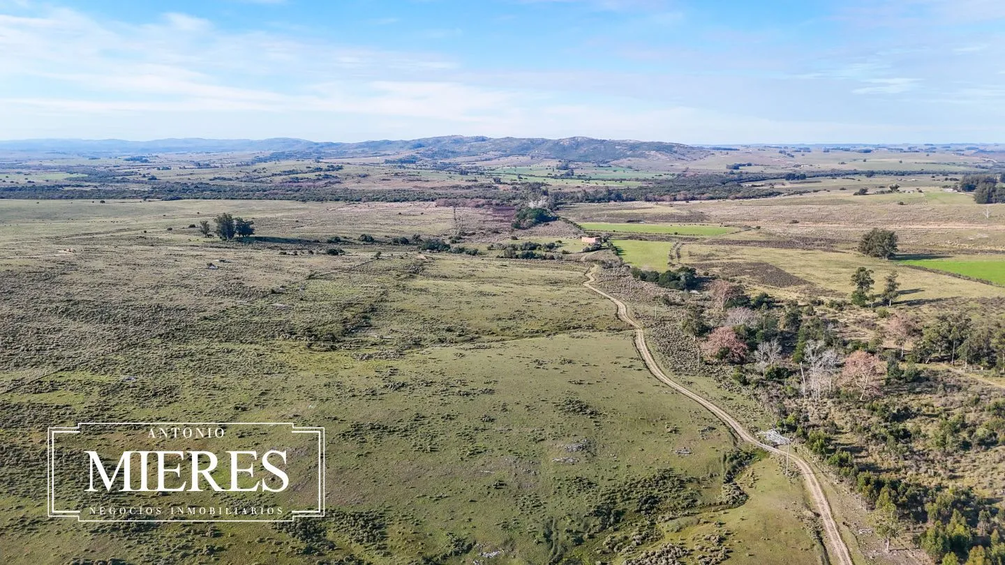 Campo de 36 ha en venta con casa y arroyo, Maldonado Uruguay. — foto 48