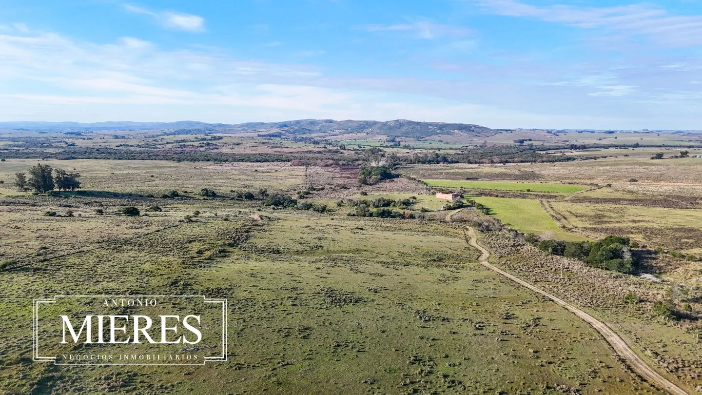Campo de 36 ha en venta con casa y arroyo, Maldonado Uruguay. — foto 49